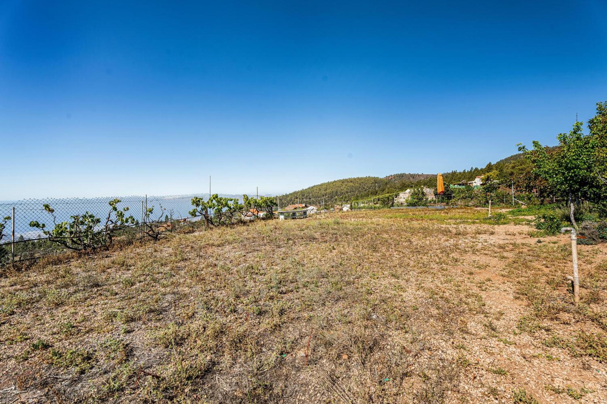 Land Of Dreams 2 Villa Granadilla De Abona Exteriör bild